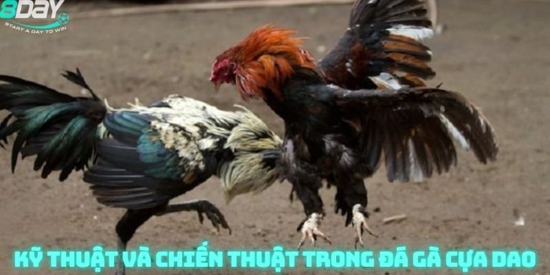 Kỹ thuật và chiến thuật trong đá gà cựa dao