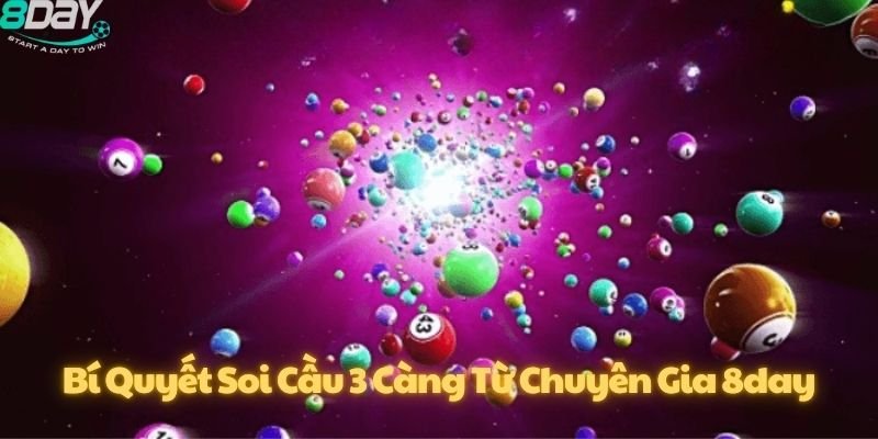 8day soi cầu